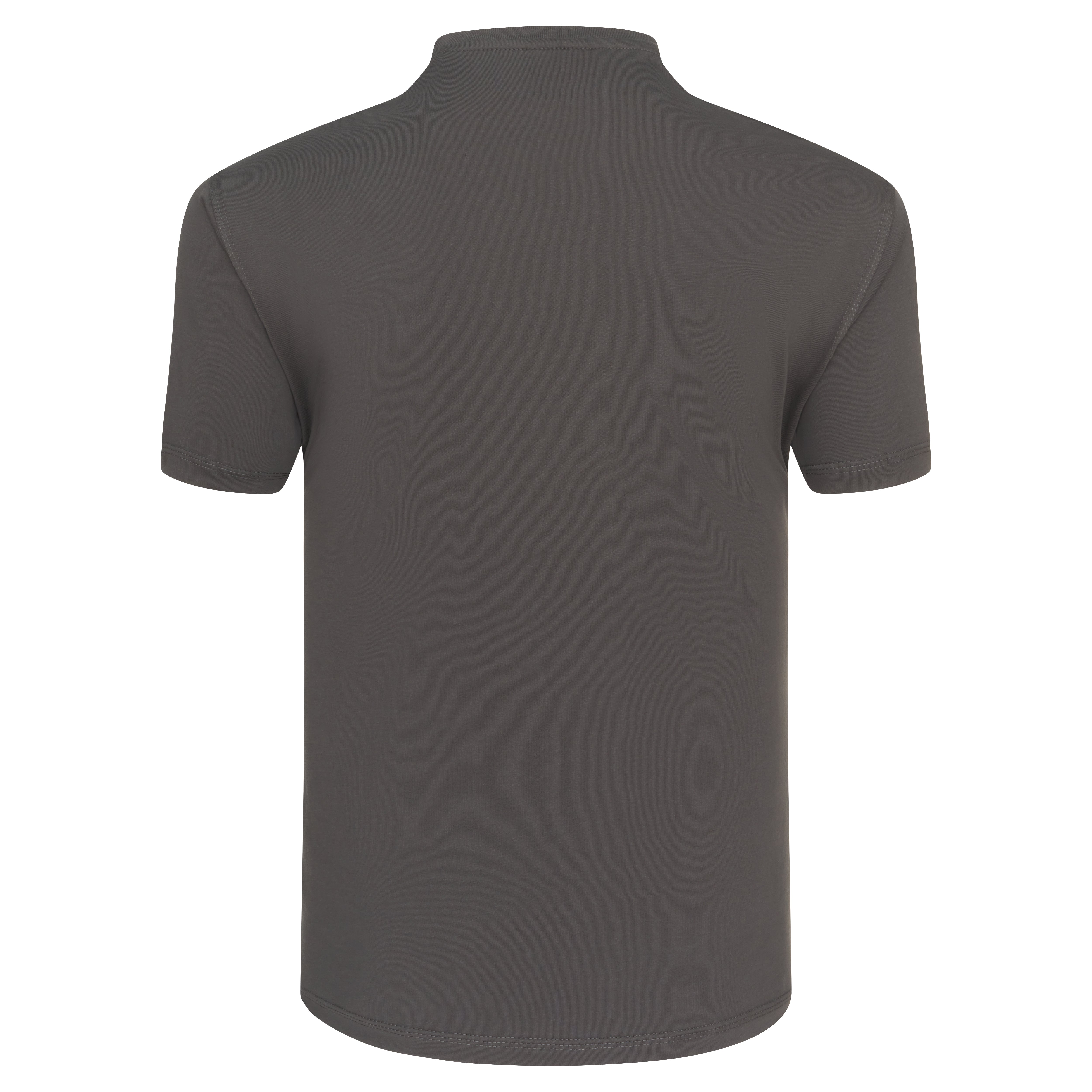 Plover T-Shirt Graphite Back