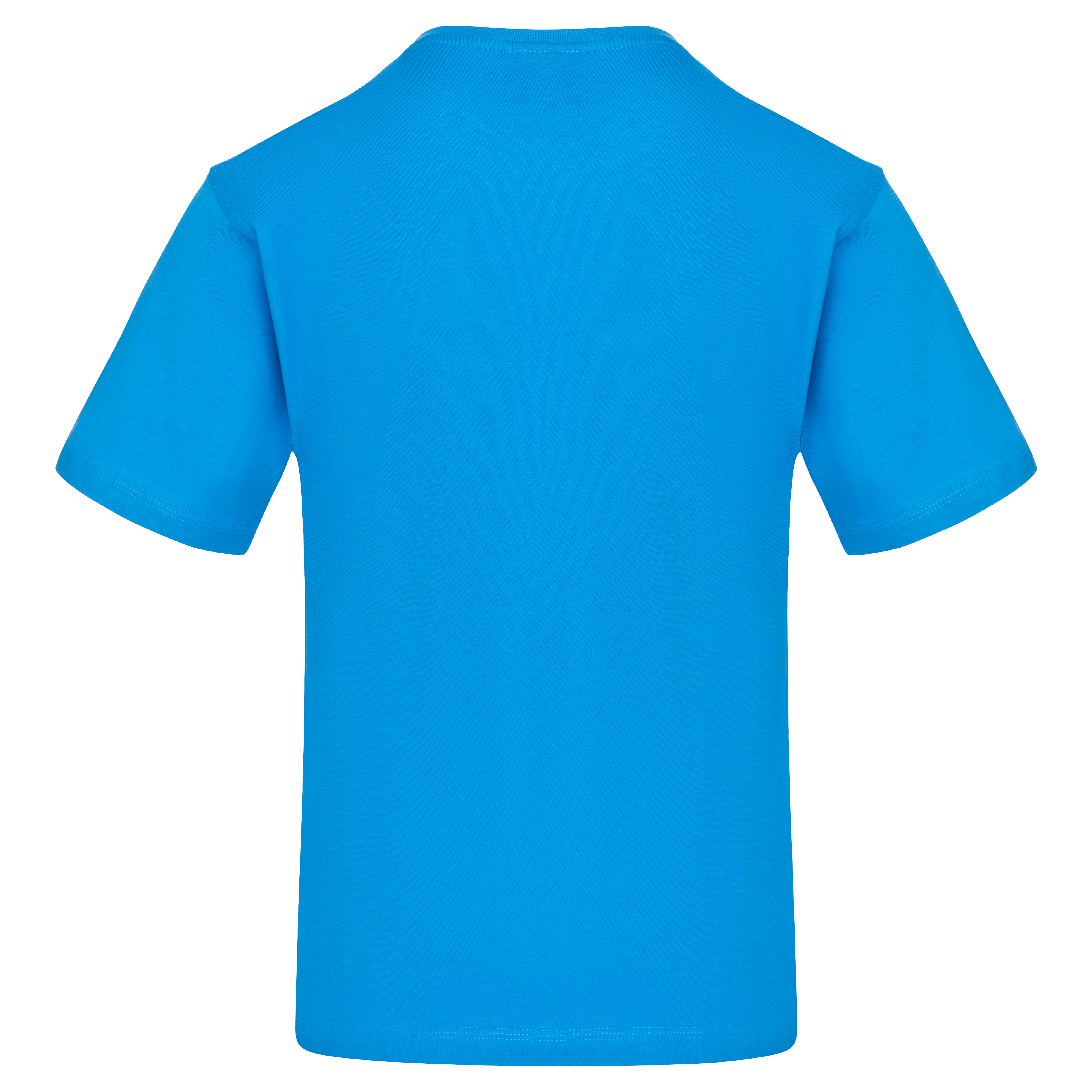 Plover T-Shirt Reflex Blue Back