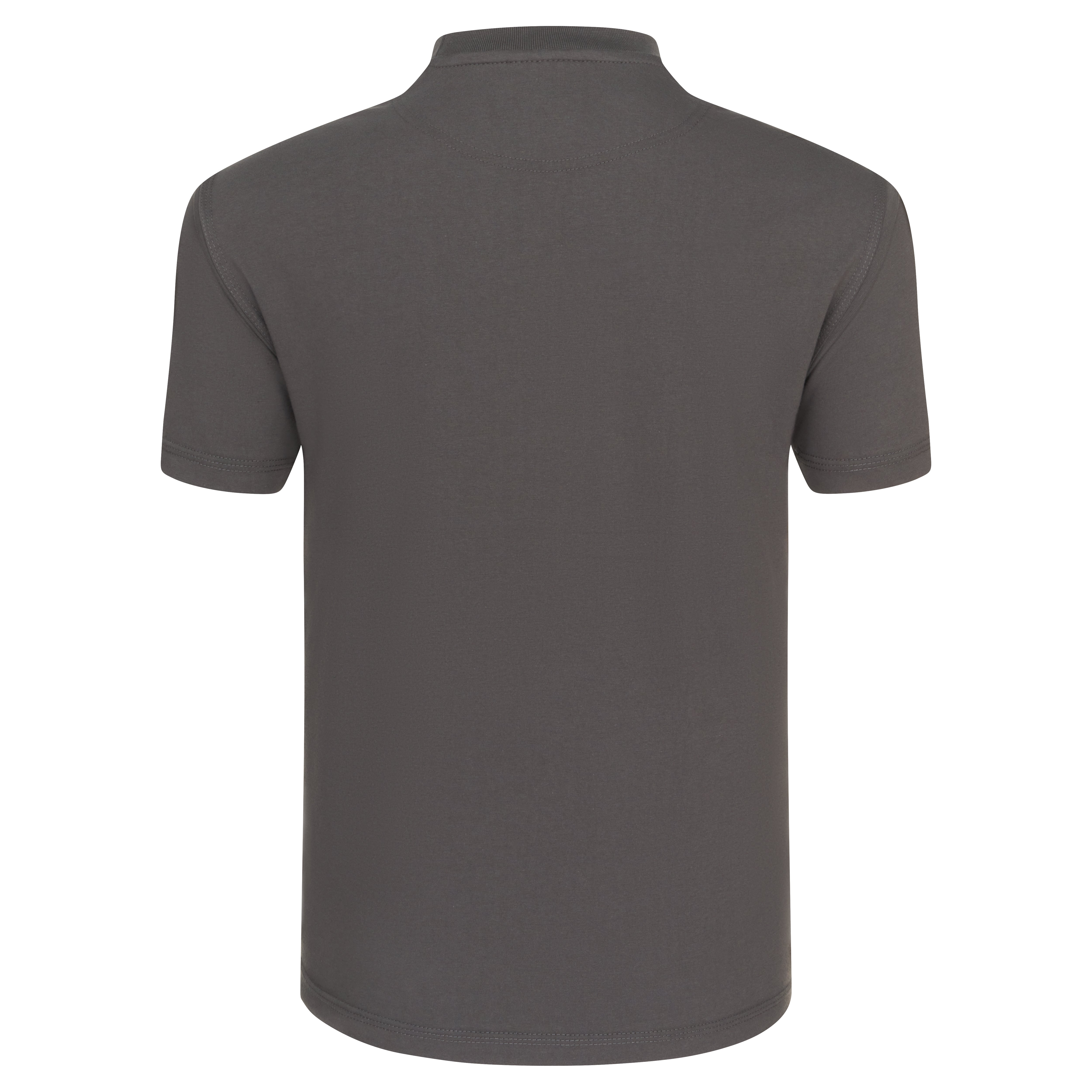 Goshawk T-Shirt Graphite Back
