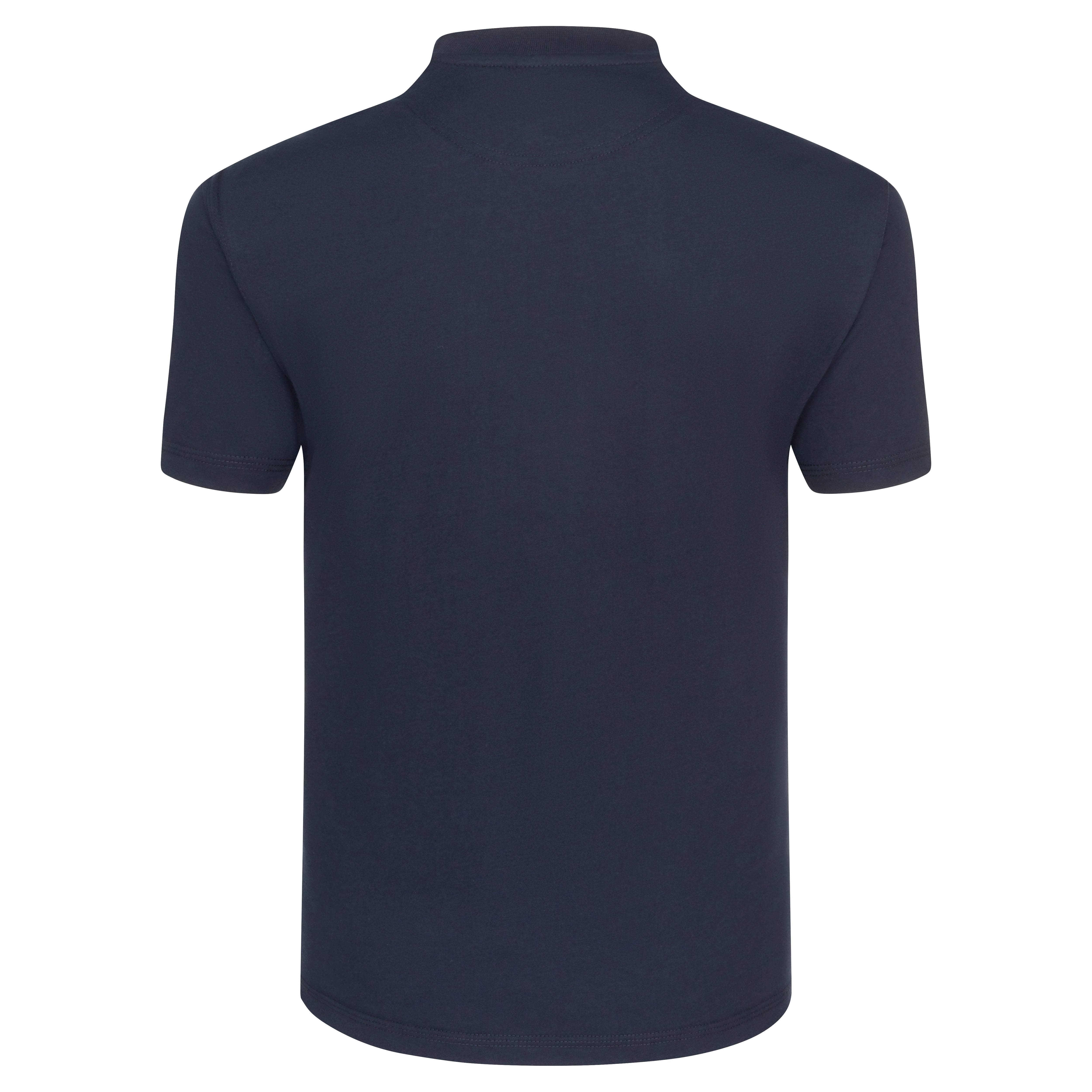 Goshawk T-Shirt Navy Back