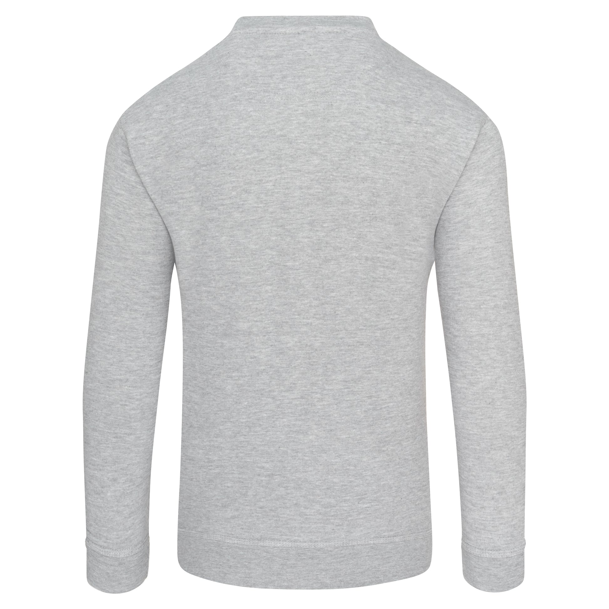 Kite Sweatshirt Ash Back