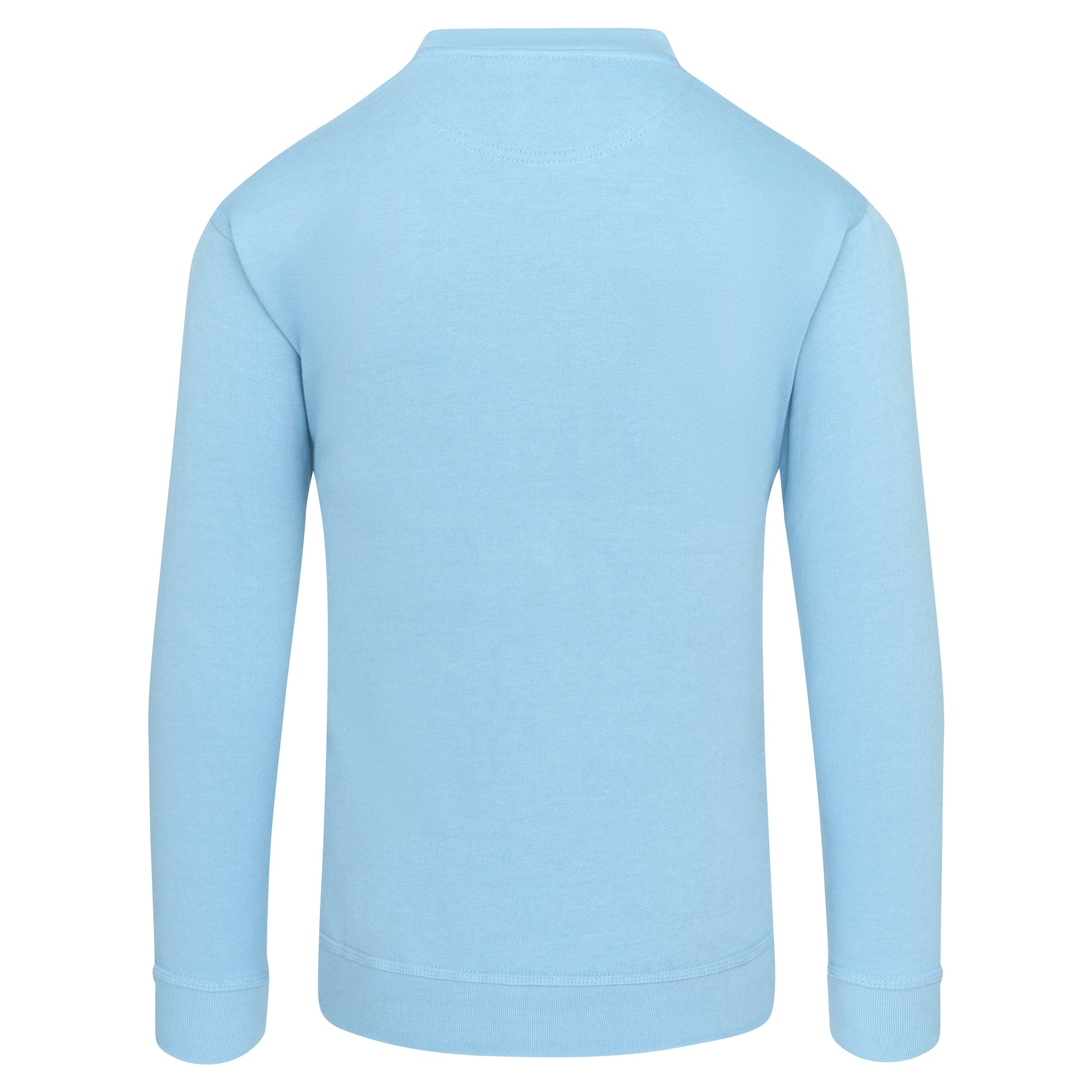 Kite Sweatshirt Sky Back