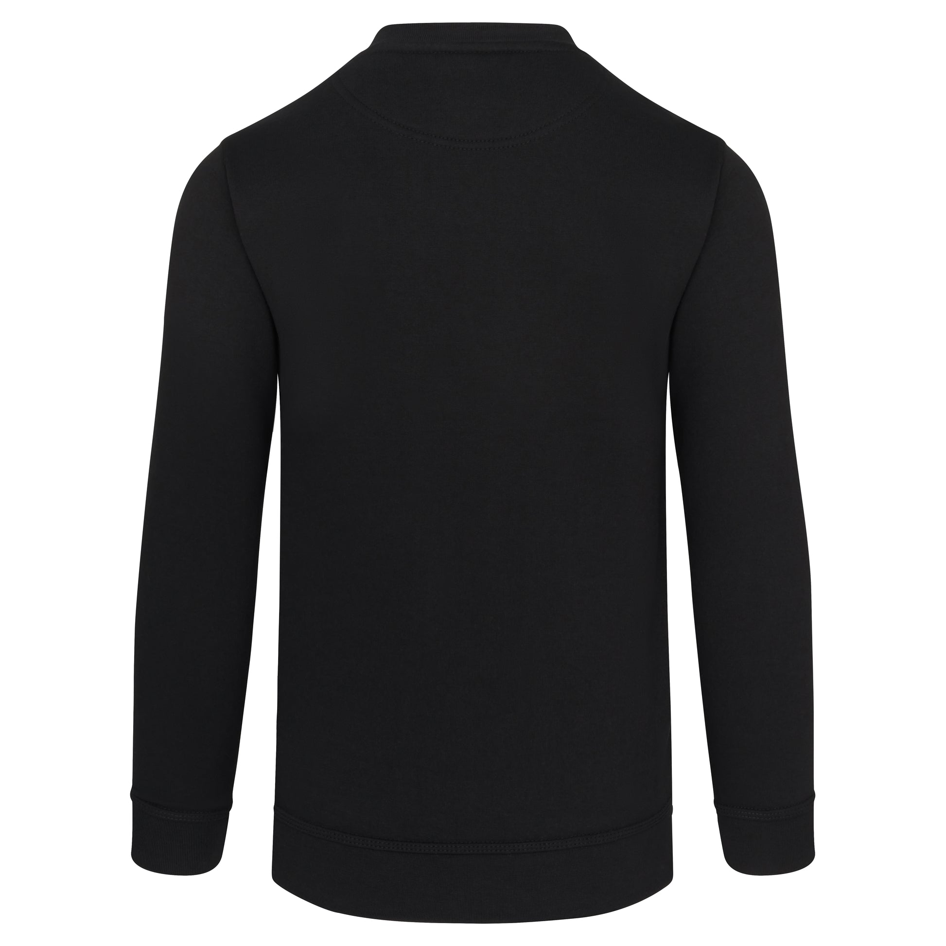Buzzard V-Neck Sweatshirt Black Back