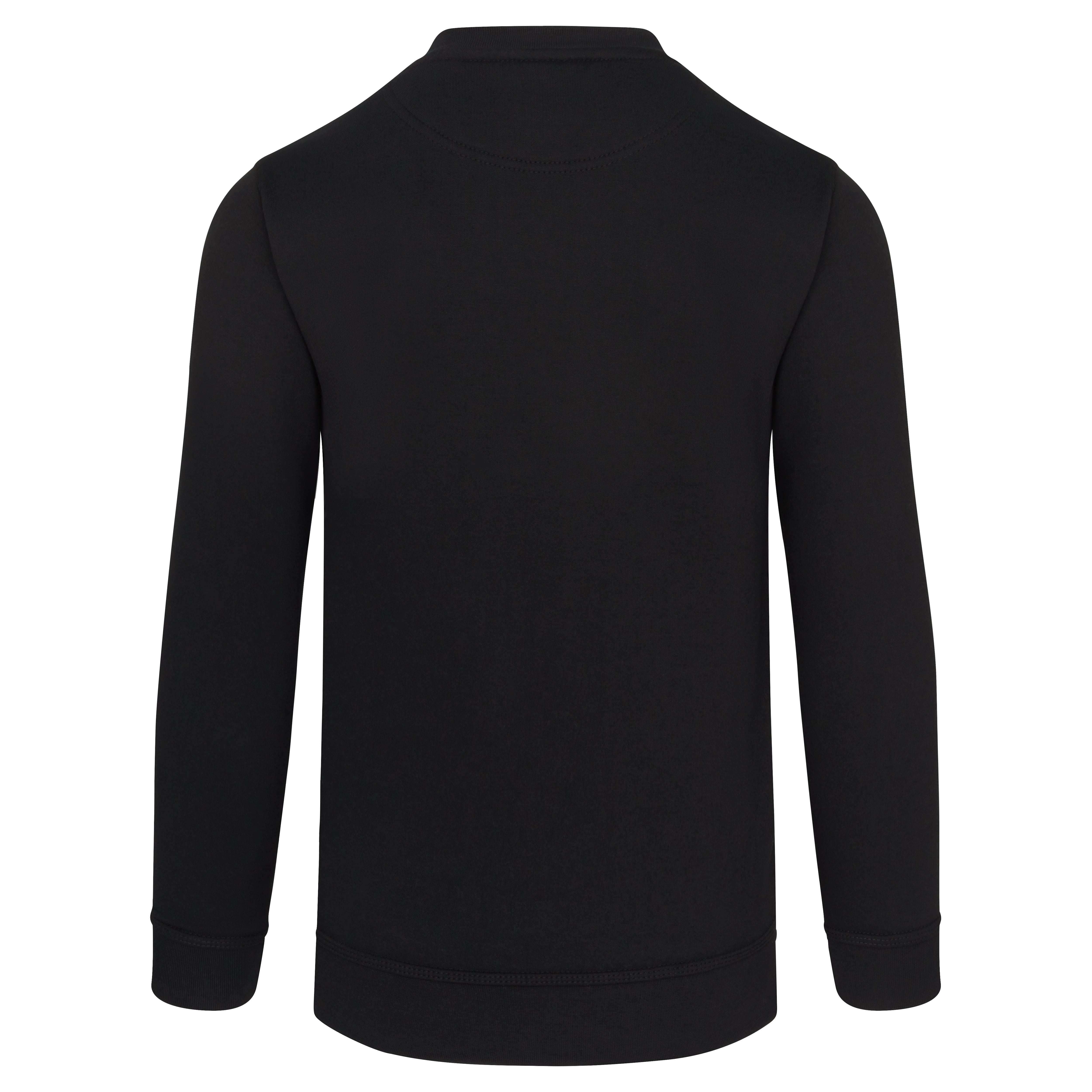 Buzzard V-Neck Sweatshirt Black Back