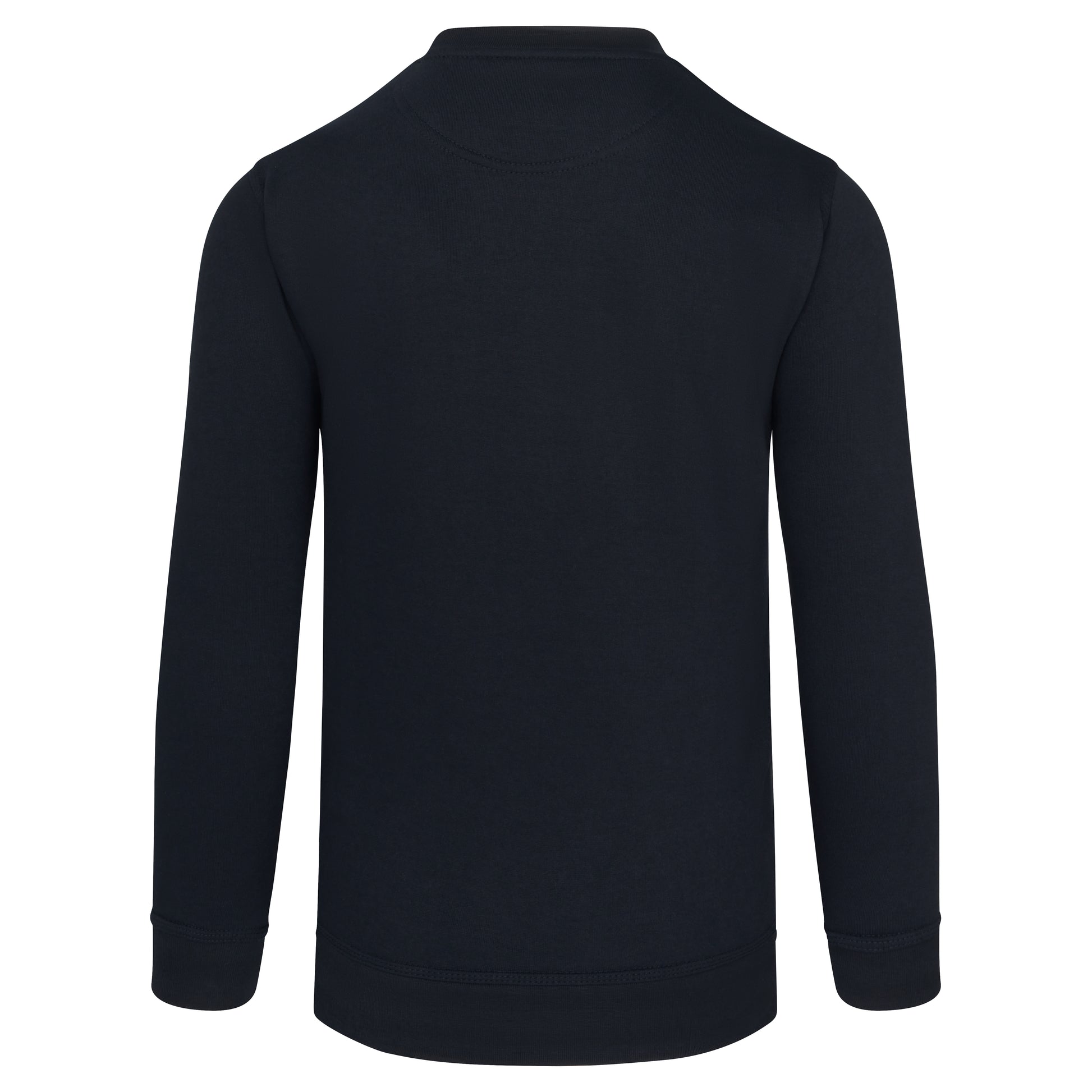 Buzzard V-Neck Sweatshirt Navy Back