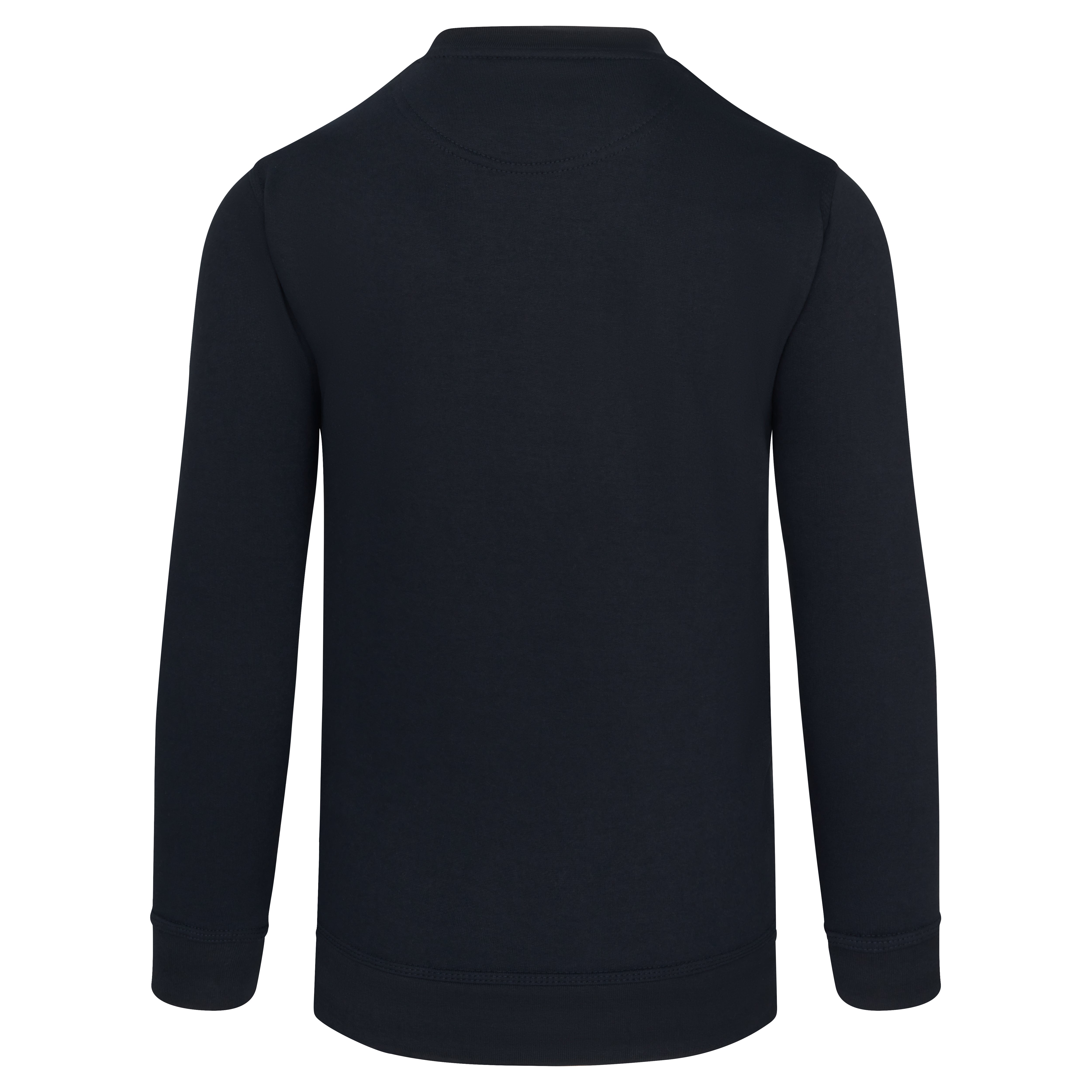Buzzard V-Neck Sweatshirt Navy Back